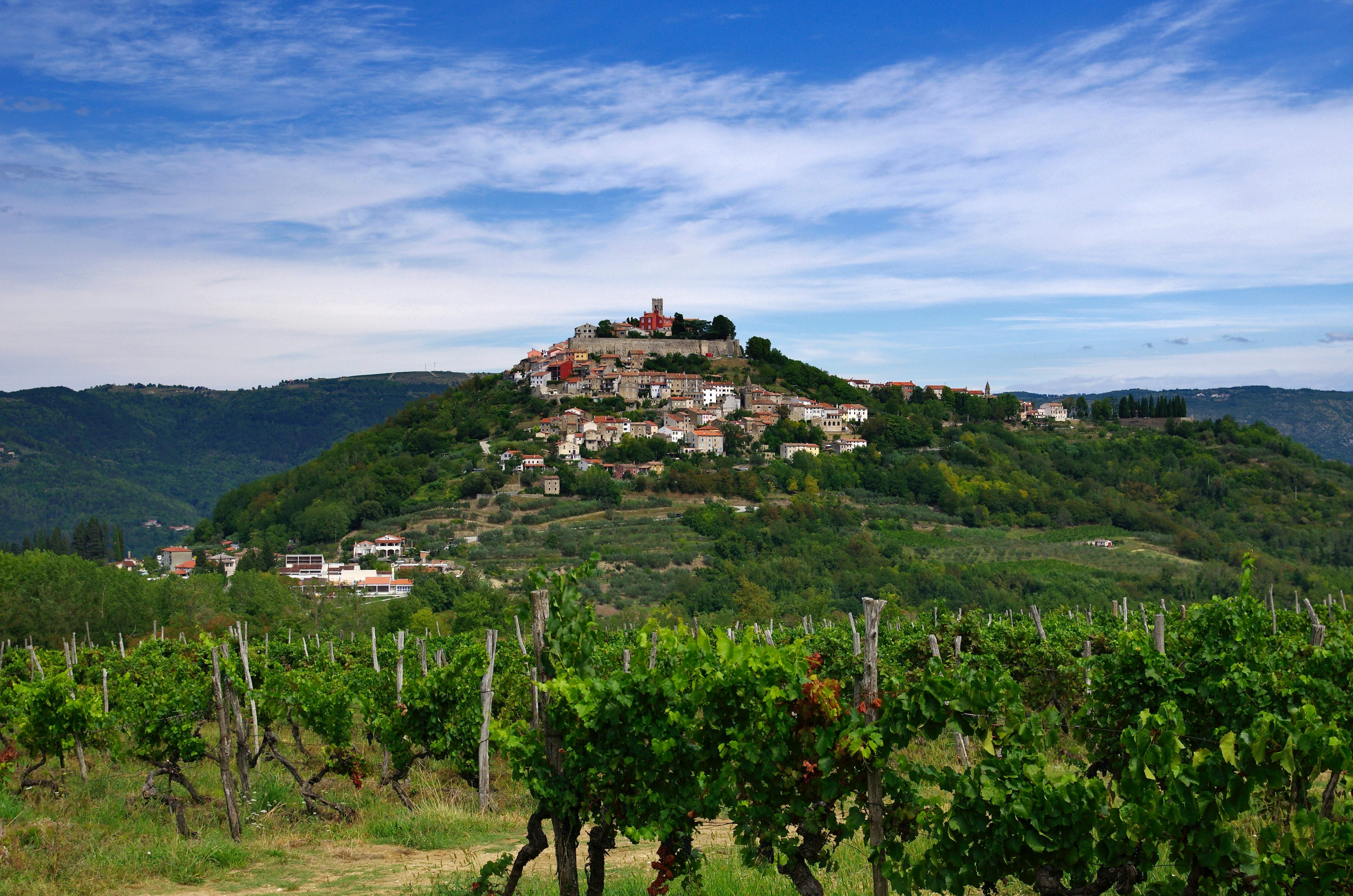 The hilltop village of Motovun